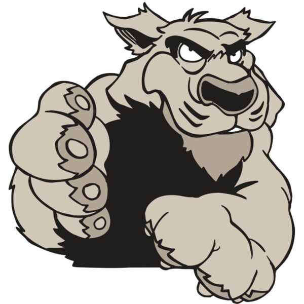 AR5 COUGAR 21 RQC Thumbnail