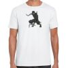 Mens Softstyle Tee Shirt Thumbnail